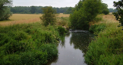 Lottery boost for River Nene 'dragons'