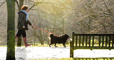 Half of dog walkers are embarrassed in public