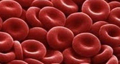 Stell cell breakthrough thrown into doubt