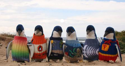 Why do penguins need jumpers?