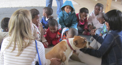 Education centre opens for pet owners in Khayelitsha