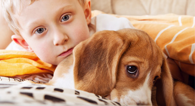 Project looks at the impacts of pets on autistic children