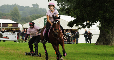 Rehomed Candy finds her feet with horse boarding