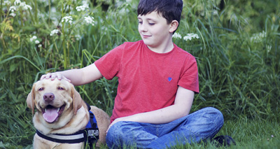 Close call for Labrador after chocolate poisoning