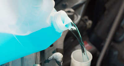 Calls to add bitter ingredients to antifreeze