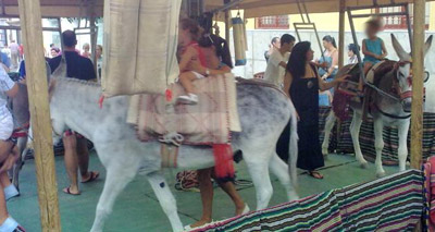 "Barbaric" donkey carousels banned in Spanish town