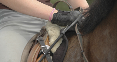 New scheme launched to help tackle saddle problems
