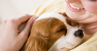 Dogs may be used to detect breast cancer