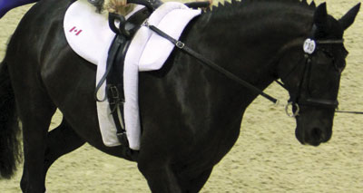Rehabilitated horse finishes 11th in Games vaulting
