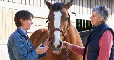Equine vets sustain "concerning" number of injuries