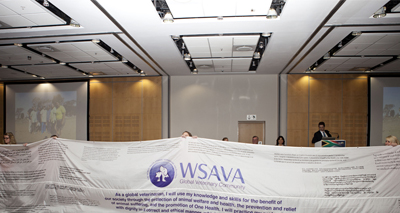 Initiatives announced to improve animal welfare