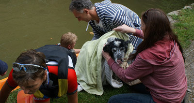 Collie rescued from canal at vet charity event