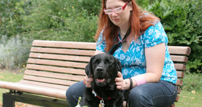 New guidelines to help guide dog owners