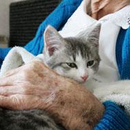 GPs "would prescribe pets" to improve patient health