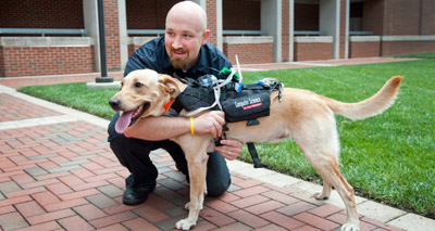 Harness could "mitigate stress" in working dogs