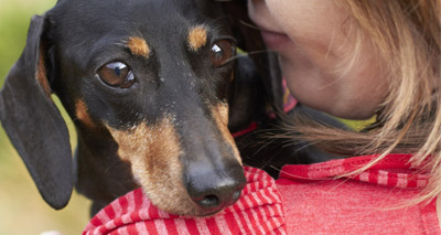 Dogs process speech in similar way to humans