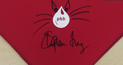 Celebrities doodle bandanas for charity