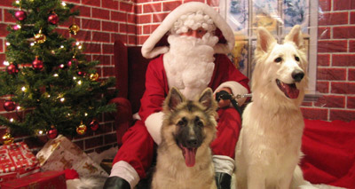 Battersea to host festive photo shoot