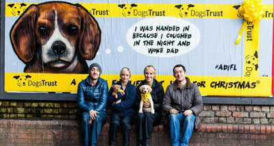 Public urged to think twice before buying a pet