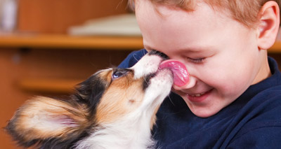 Pets may improve social skills of autistic children