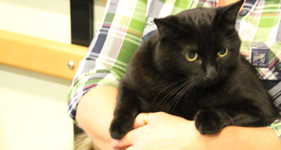 Charity warns pet obesity is set to soar