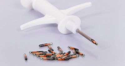 Scotland to introduce compulsory microchipping