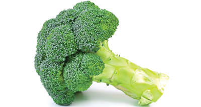 'Broccoli drug' may treat osteoarthritis