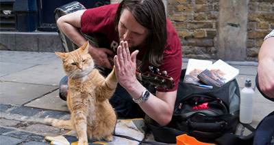 Campaign success for Street Cat Bob author