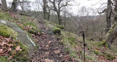 Runners caught in animal snares