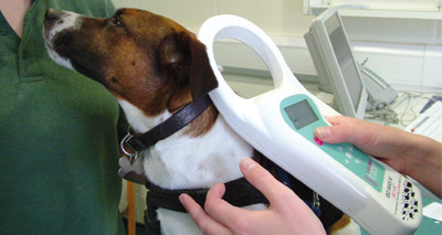 Controversial microchip law revealed