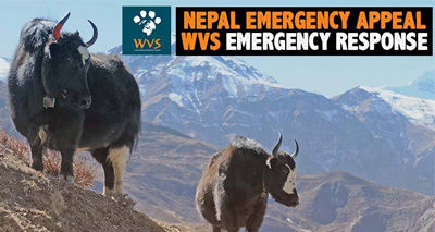 Charity launches Nepal earthquake appeal