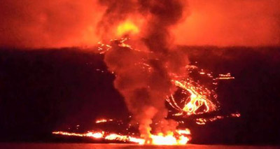 Volcano eruption threatens rare pink iguana