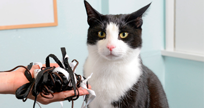 Suspected tumour turns out to be shoelaces