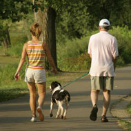 Dog flu spreads to South Dakota