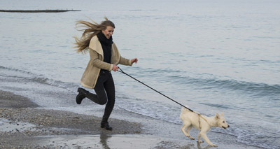 Dog friendly getaways may boost British tourism
