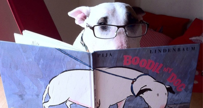 Bull terrier crowned 'best office dog'