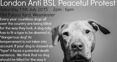 RVNs campaign against breed specific legislation