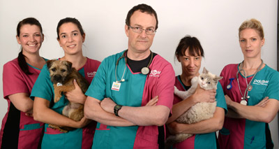 Vet squad to tackle pet welfare issues