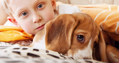 Pets may protect children from allergies, study finds
