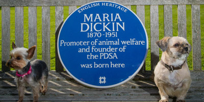 PDSA founder honoured with Blue Plaque
