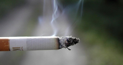 Smokers urged to protect pets from passive smoking