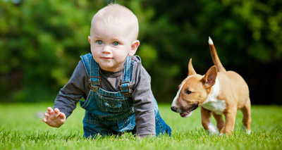 Early exposure to dogs may lower risk of asthma, study finds