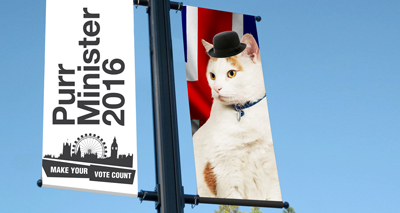 Votes open for new Purr Minister