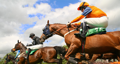 Cheltenham fatalities to be assessed by RSPCA