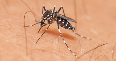 First evidence of a link between Zika and GBS