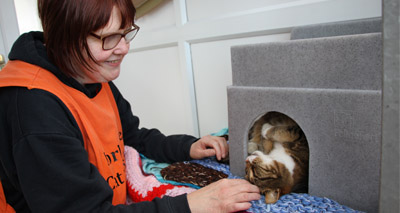 Cats are 'medicine for the soul'