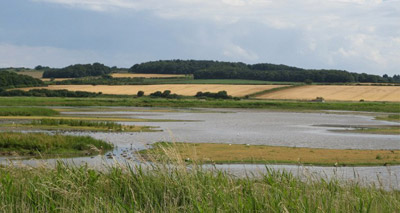 Norfolk Wildlife Trust celebrates 90th birthday