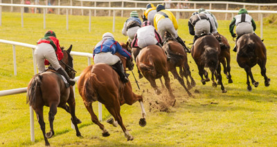 Lord calls for horse racing to continue veterinary funding