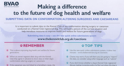 Vets urged to report cases of conformation altering surgeries