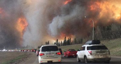 Pets rescued in wake of Canadian wildfires